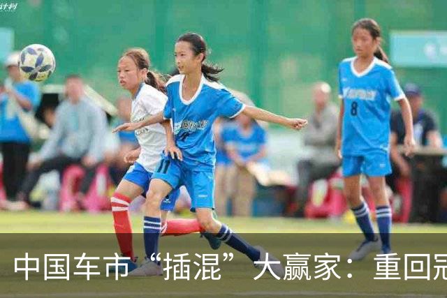 中国车市“插混”大赢家:重回冠军宝座,月零售量达到13673辆