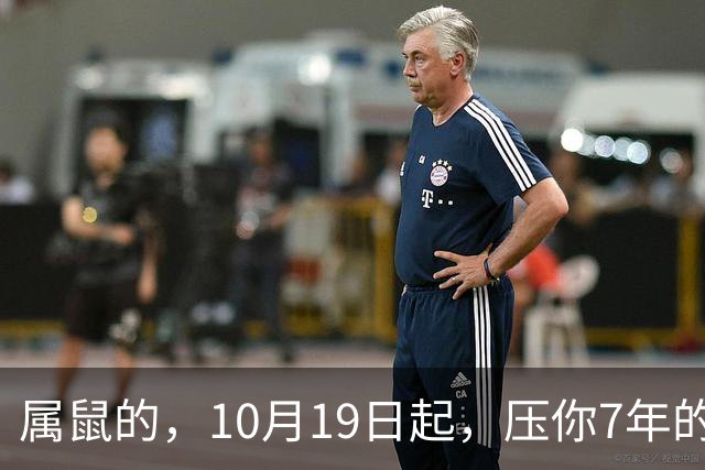 属鼠的,10月19日起,压你7年的死结,终于松了,从此一飞冲天